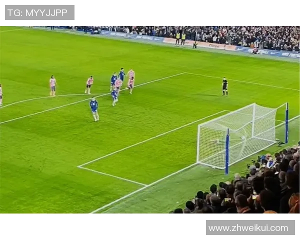 杭州乒乓球队节奏争议引发热议球迷与专家各执己见探讨背后原因